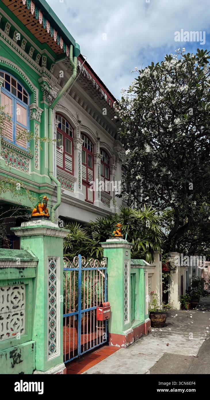 Maisons colorées dans le quartier Joo Chiat, Katong, Singapour Banque D'Images
