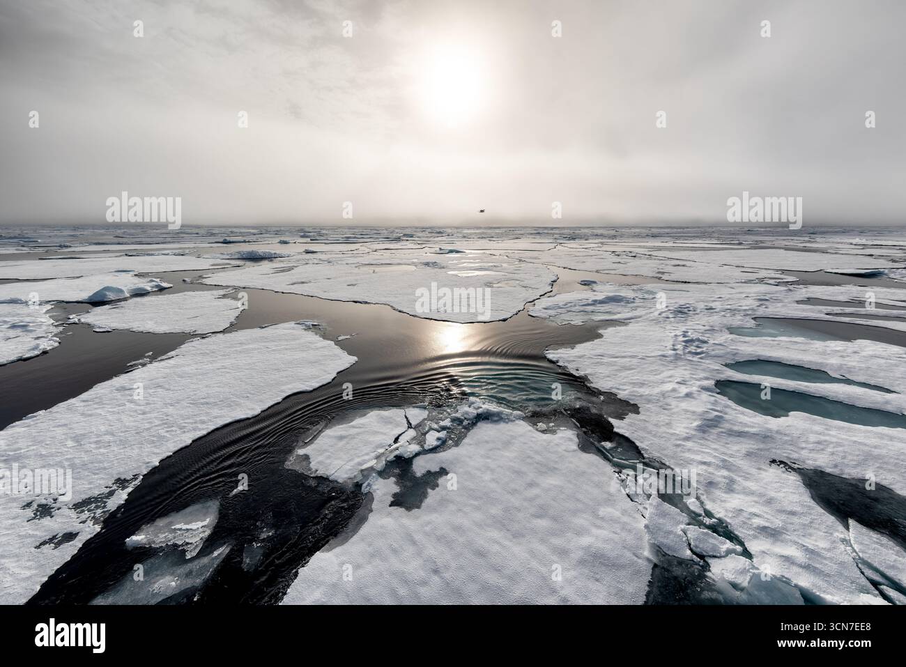 Sjuøyane sept îles Svalbard océan Arctique // SVALBARD ET Jan MAYEN — la glace de mer de l'océan Arctique est brisée en floes et en plomb, avec des canaux d'eau libre reflétant le soleil brumeux. Ce paysage spectaculaire est caractéristique de la région autour du Svalbard, un archipel situé entre la Norvège continentale et le pôle Nord. Les Sjuøyane, ou sept îles, sont les îles les plus septentrionales du Svalbard, situées dans cet environnement polaire vaste et dynamique. L'océan Arctique est un écosystème essentiel, de plus en plus affecté par les changements climatiques, qui influent sur l'étendue et la stabilité de la glace de mer. Banque D'Images