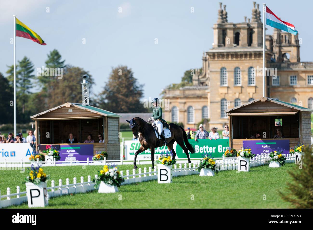 Susannah Berry de l'Irlande avec astucieux tour pendant le dressage au Championnat d'Europe Agria FEI Eventing au Palais de Blenheim le 19 septembre 2025, Woodstock, Royaume-Uni (photo par Maxime David - MXIMD Pictures) Banque D'Images