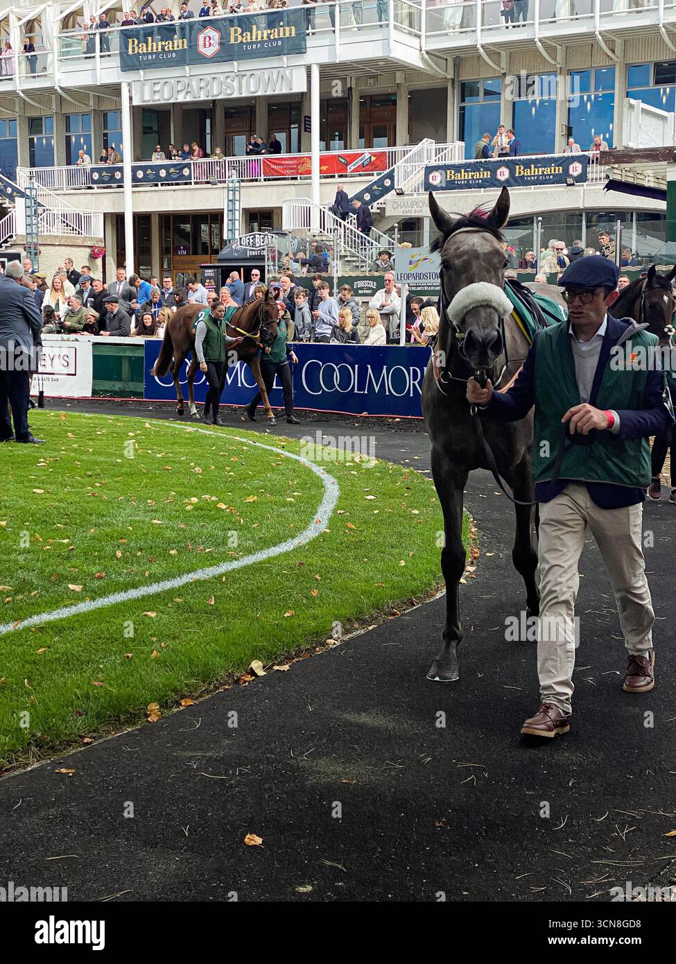 Irish Champions Festival, Leopardstown Racecourse, Dublin, Ireland.Handlers, jockeys et pur-sang dans le paddock avant la course. Banque D'Images