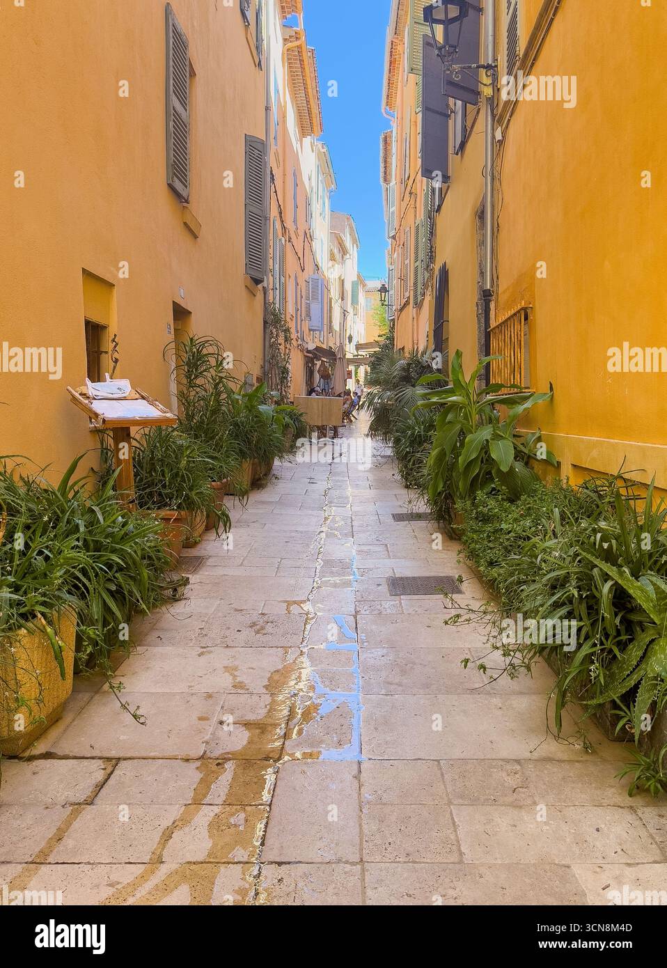Saint Tropez, France - 13 juillet 2024 : paysage du centre-ville. Rue de la Ponche est une ruelle étroite, ici avec des plantes vertes des deux côtés du canyon formé Banque D'Images