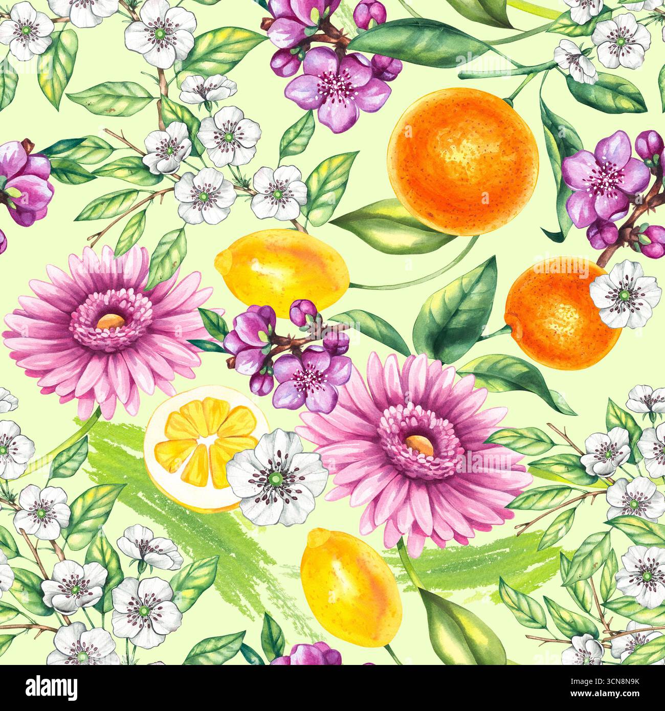Motif botanique sans couture botanique aquarelle fruitée dessiné à la main Banque D'Images