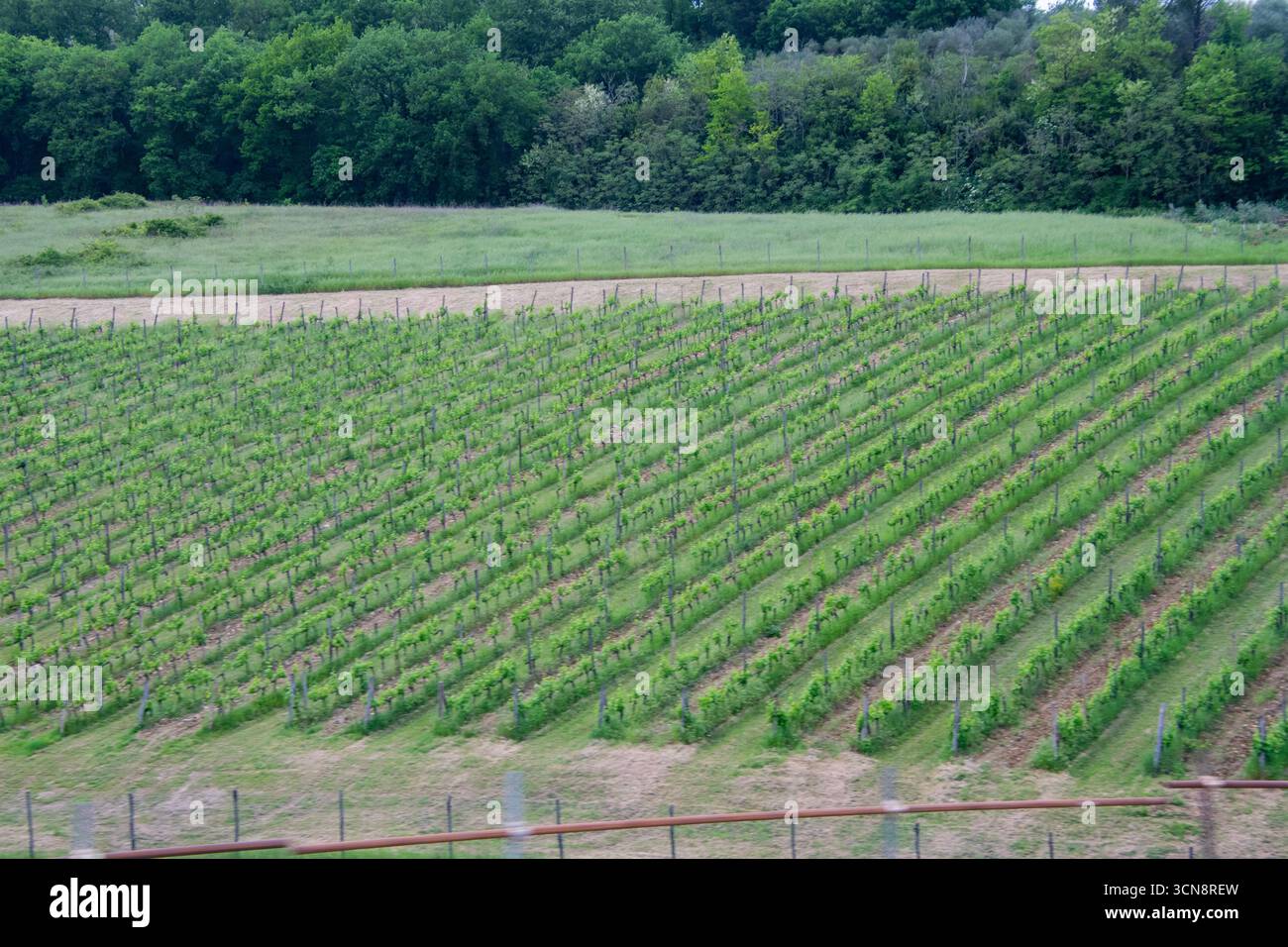 Une vue sur la campagne le long de la route de Florence, Italie. Banque D'Images