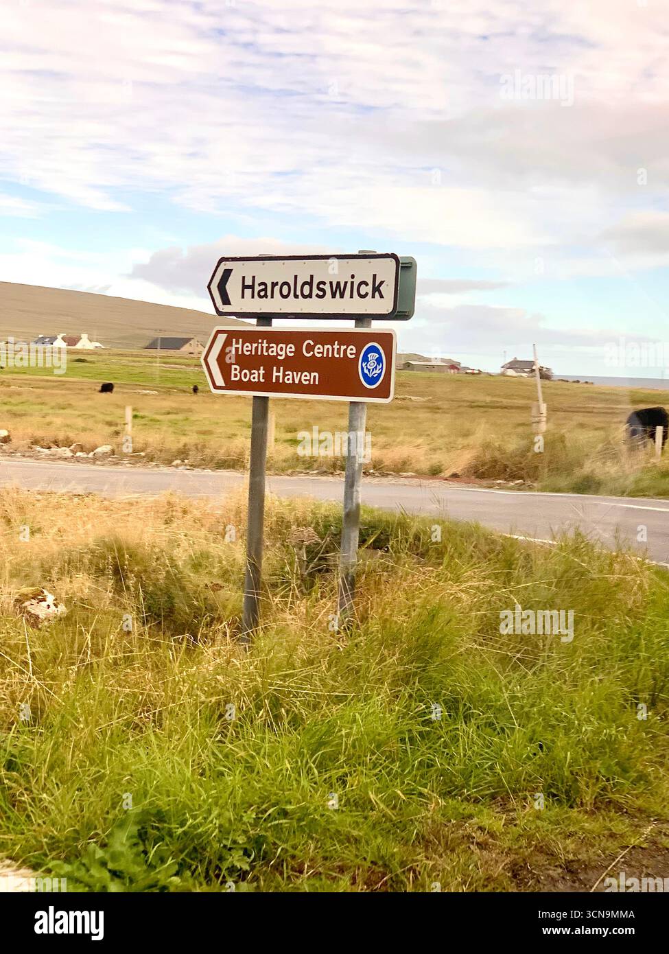 Îles Shetland aéroport piste avion atterrissage Lerwick queue route collines panneau routier agneau mouton eau mer bruyère montagnes Harloldswick - Image de stock capturée avec un smartphone