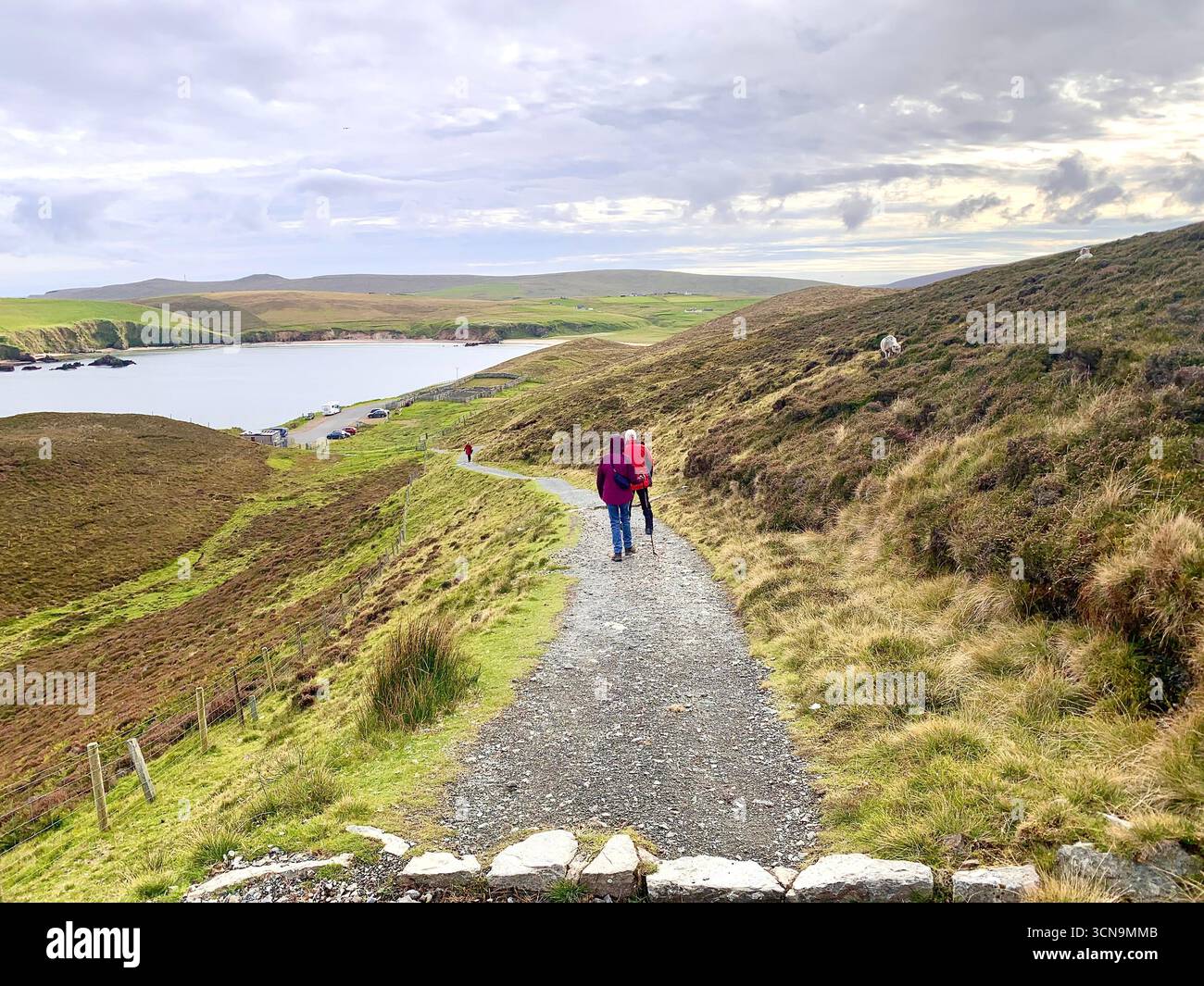 Shetland Islands aéroport piste avion atterrissage Lerwick queue route collines panneau routier agneau mouton eau mer bruyère montagnes montagne chemin gens - Image de stock capturée avec un smartphone