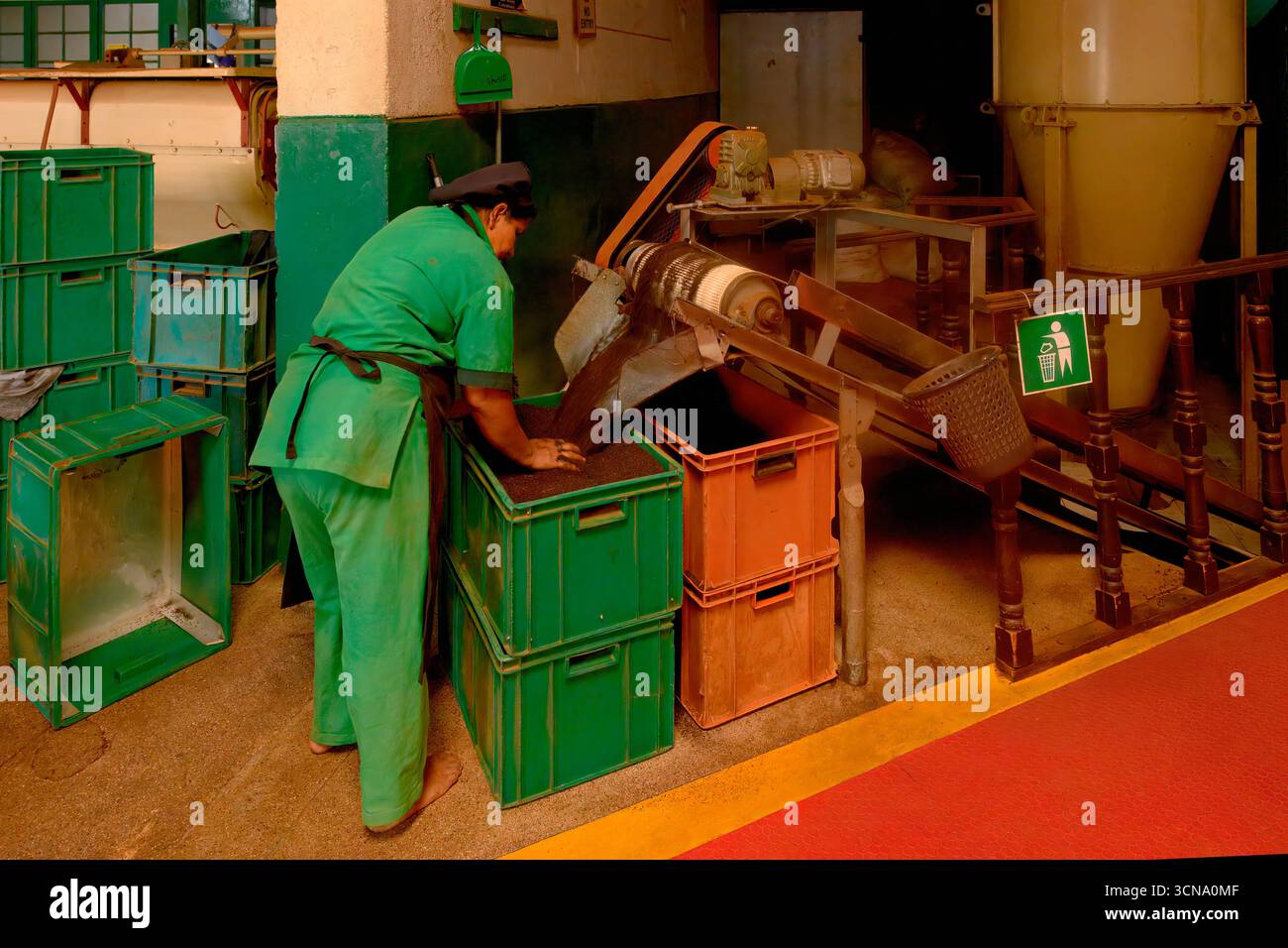 Femmes travaillant dans l'usine de thé Glenloch, Nuwara Eliya, Sri Lanka Banque D'Images