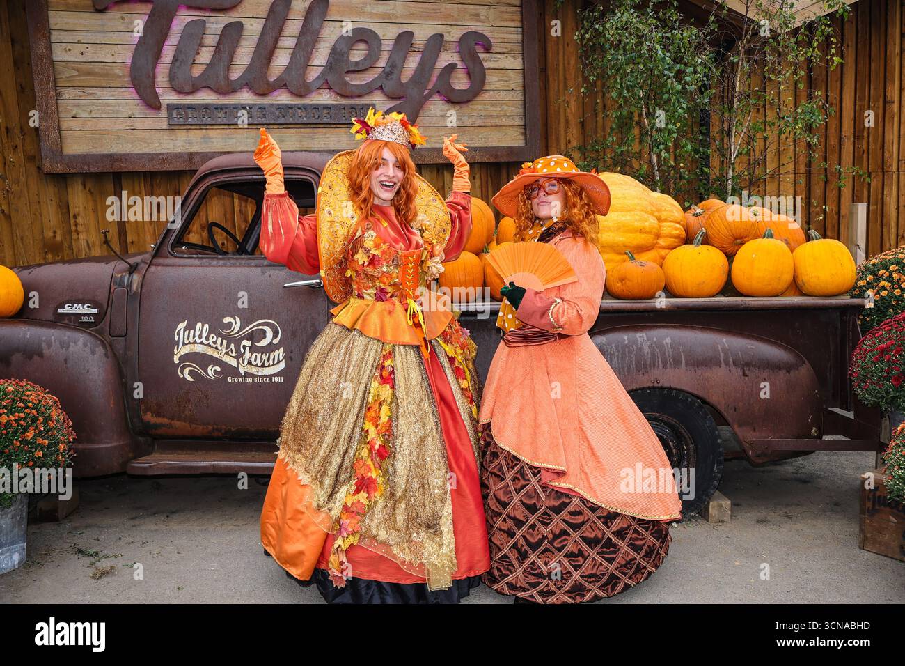 Tulleys Farm West Sussex England 20 Sep 2025 le festival saisonnier de la citrouille commence aujourd'hui, avec des champs pleins de citrouilles et des possibilités de photos.20 Sep 2025 fin octobre Paul Quezada Neiman/Alamy Live News Banque D'Images