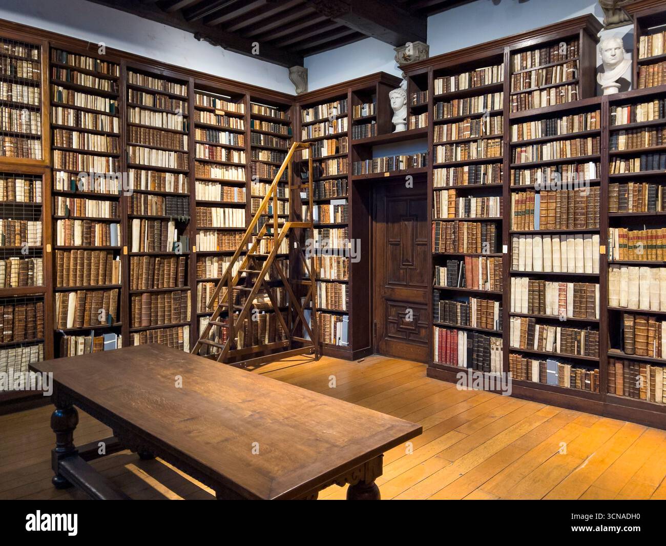 La bibliothèque ou salle de lecture du Musée Plantin-Moretus, à l'origine la maison de la célèbre dynastie des imprimeurs Plantin (Anvers, Belgique) Banque D'Images