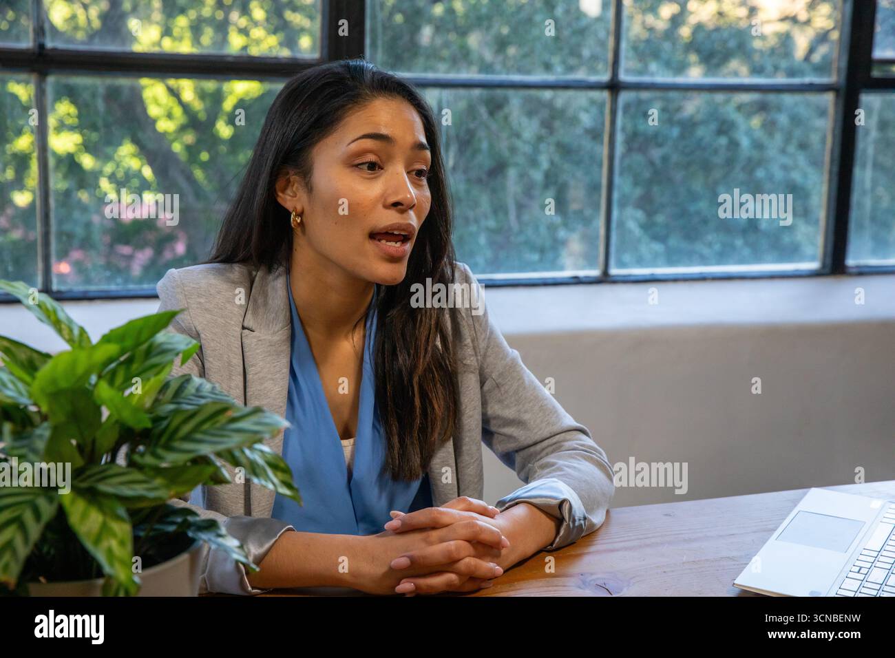 Femme asiatique portant des vêtements d'affaires assis dans le bureau parlant à table avec ordinateur portable, plante Banque D'Images