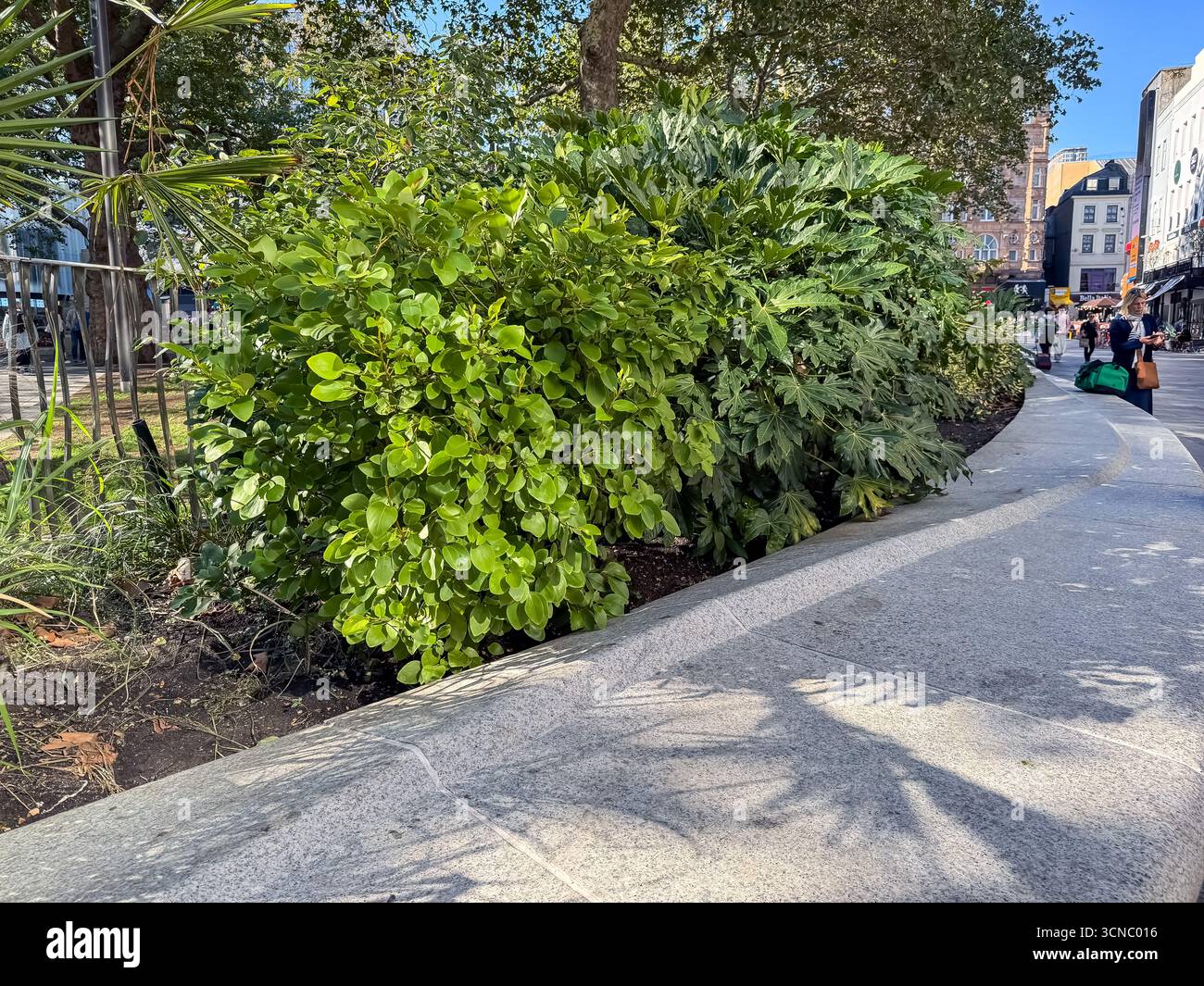 Leicester Square Gardens, Londres - Image de stock capturée avec un smartphone