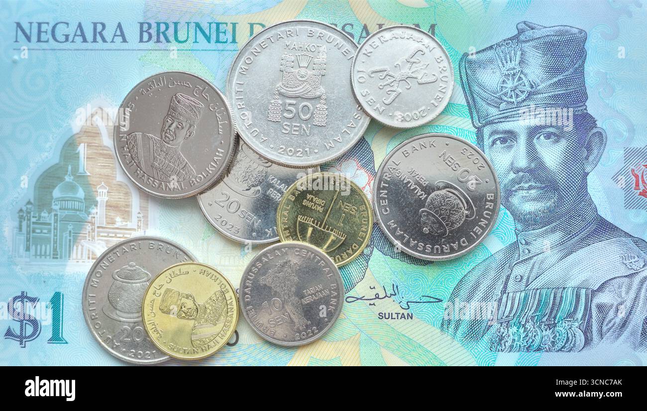 Gros plan photo du dollar de Brunei (ringgit Brunei). Banque D'Images