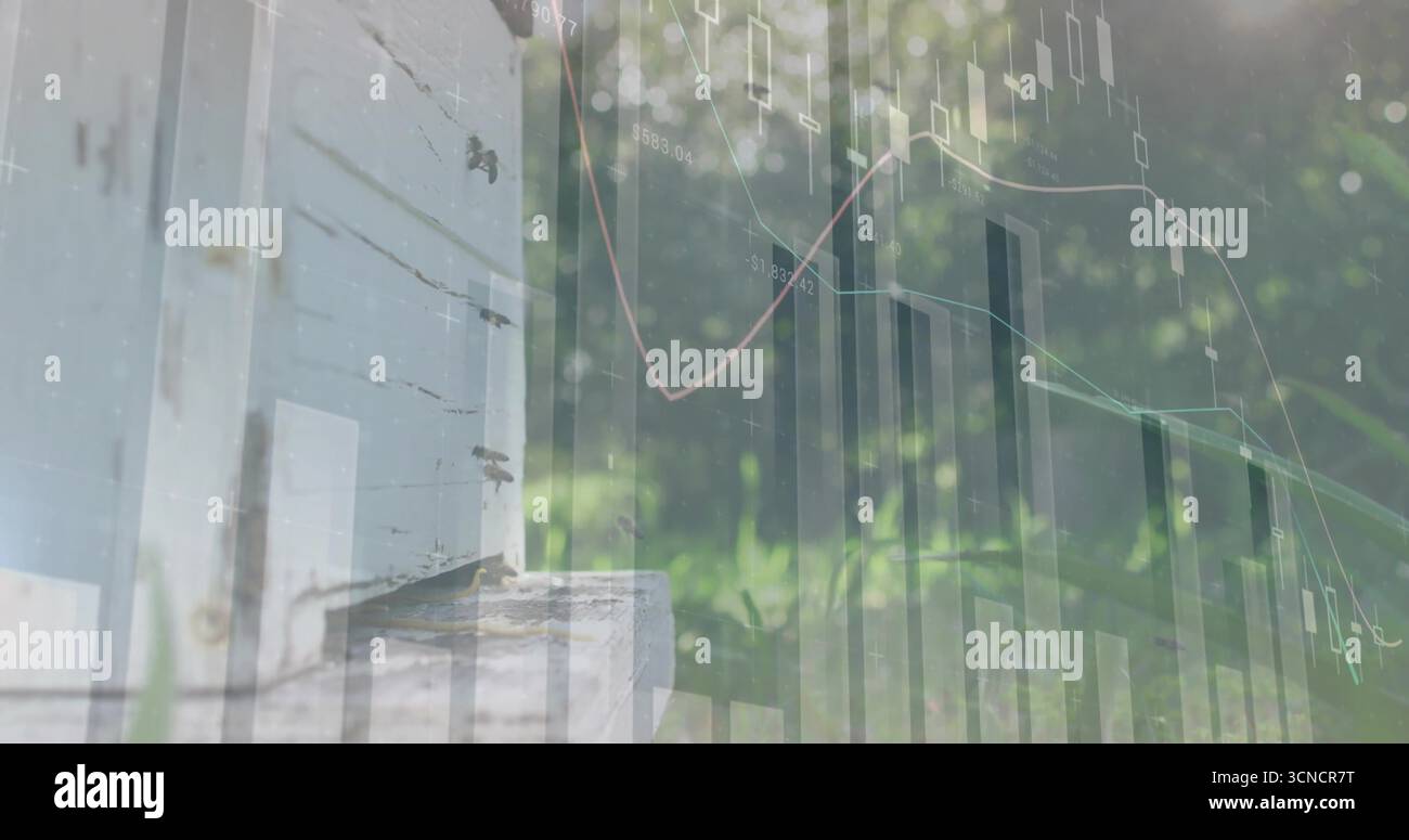 Montrant des abeilles bourdonnant sur la ruche en bois sur la base dans le jardin avec la superposition de carte de chandelier, espace de copie Banque D'Images