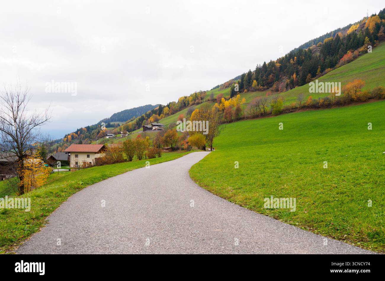 Vue spectaculaire de Santa Maddalena en automne. Célèbre village de montagne Dolomites à Val di Funes, Tyrol du Sud, Italie. Une étroite route locale menait au village Banque D'Images