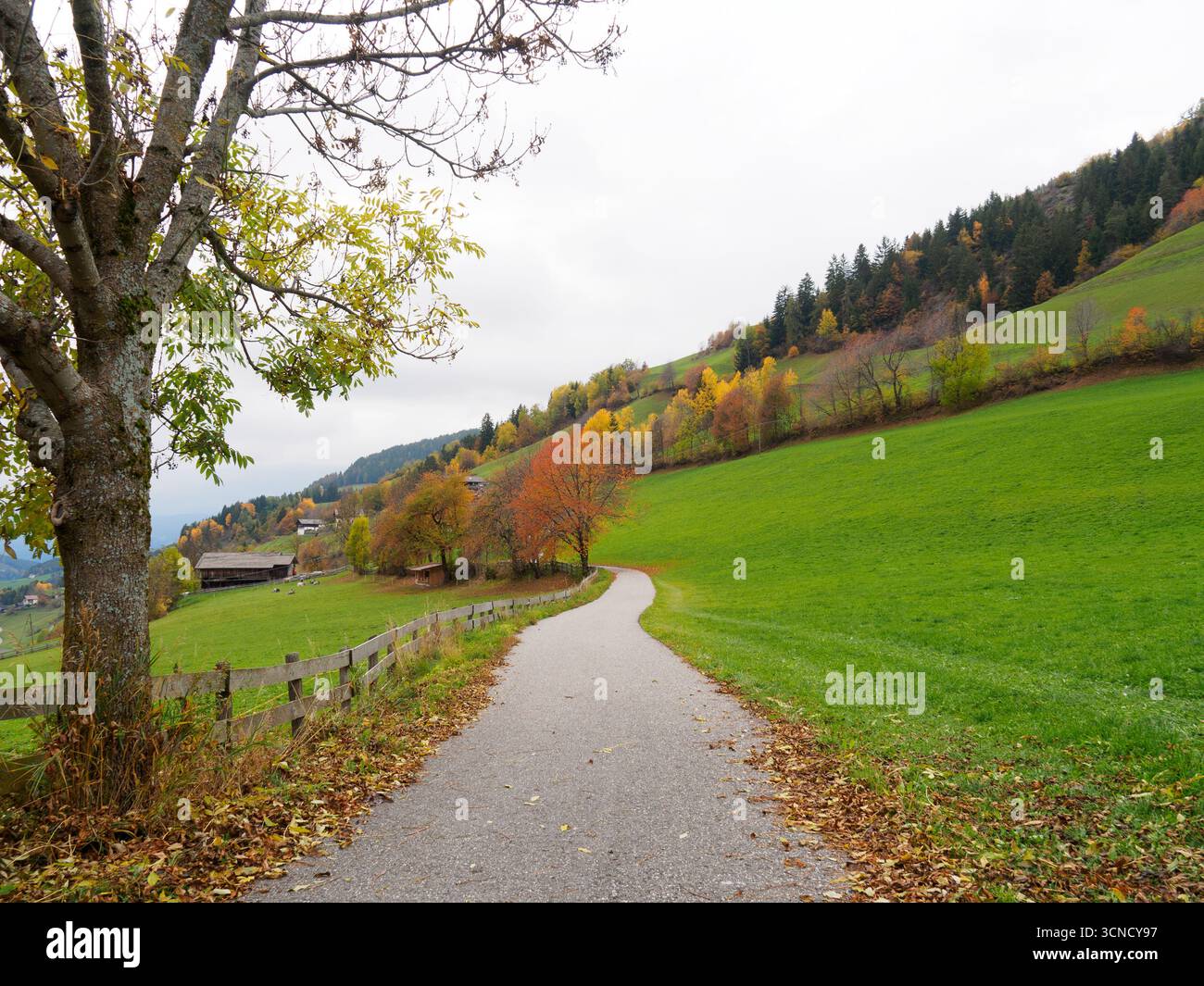 Vue spectaculaire de Santa Maddalena en automne. Célèbre village de montagne Dolomites à Val di Funes, Tyrol du Sud, Italie. Une étroite route locale menait au village Banque D'Images