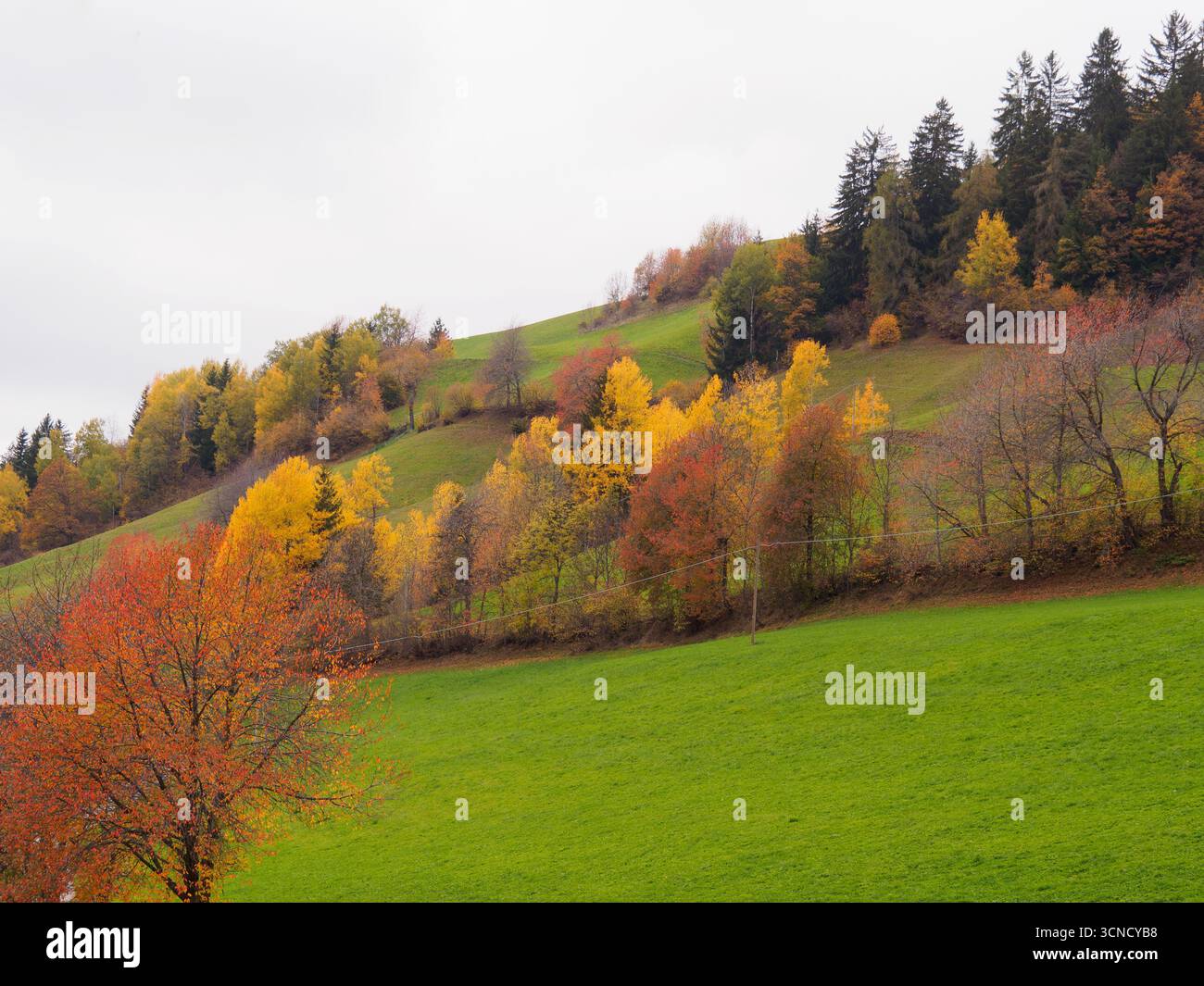 Vue spectaculaire de Santa Maddalena en automne. Célèbre village de montagne Dolomites à Val di Funes, Tyrol du Sud, Italie. Une étroite route locale menait au village Banque D'Images