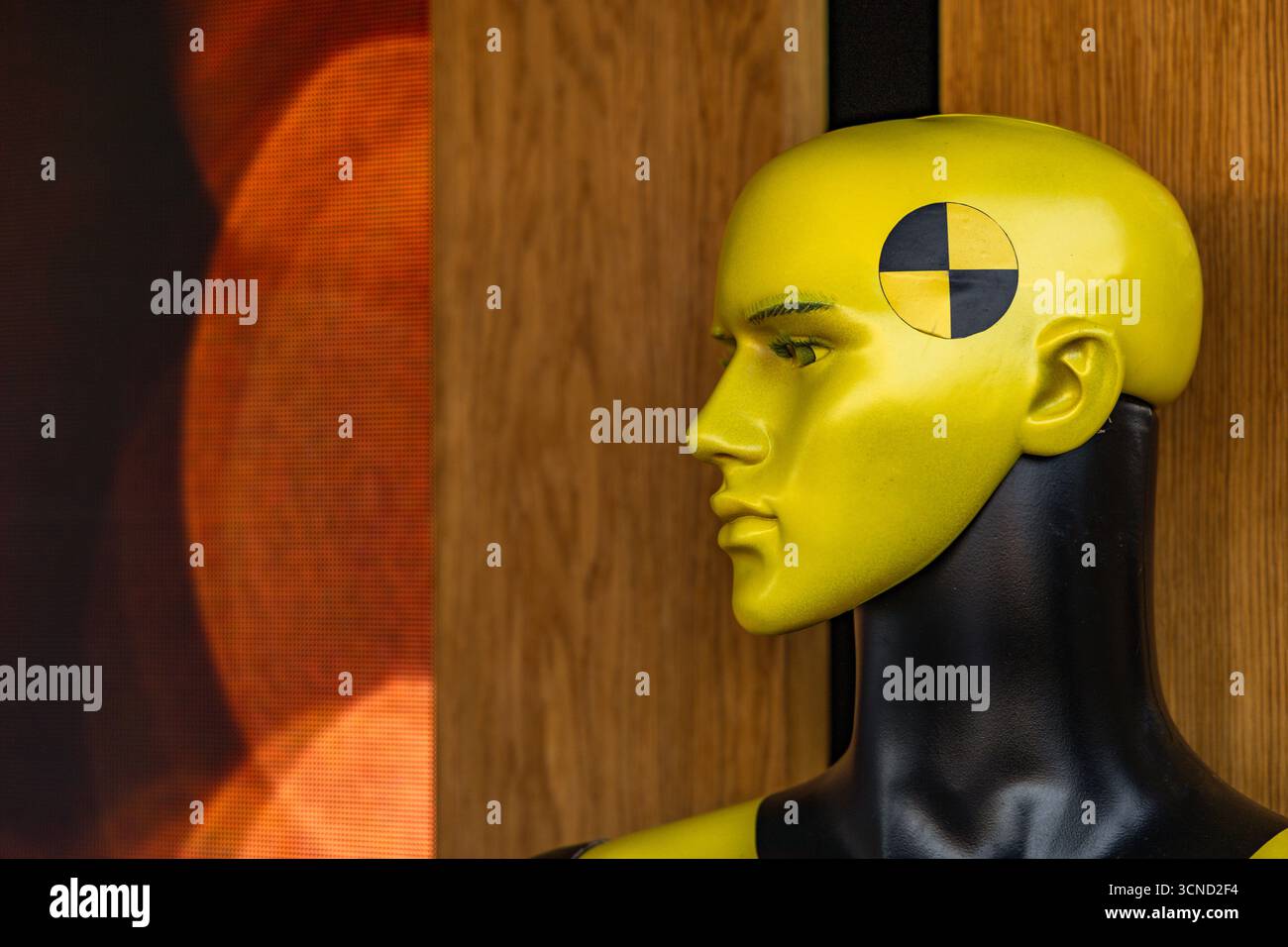 Mannequin Crash test, tête de mannequin, imitation humaine, robot, intelligence artificielle Banque D'Images