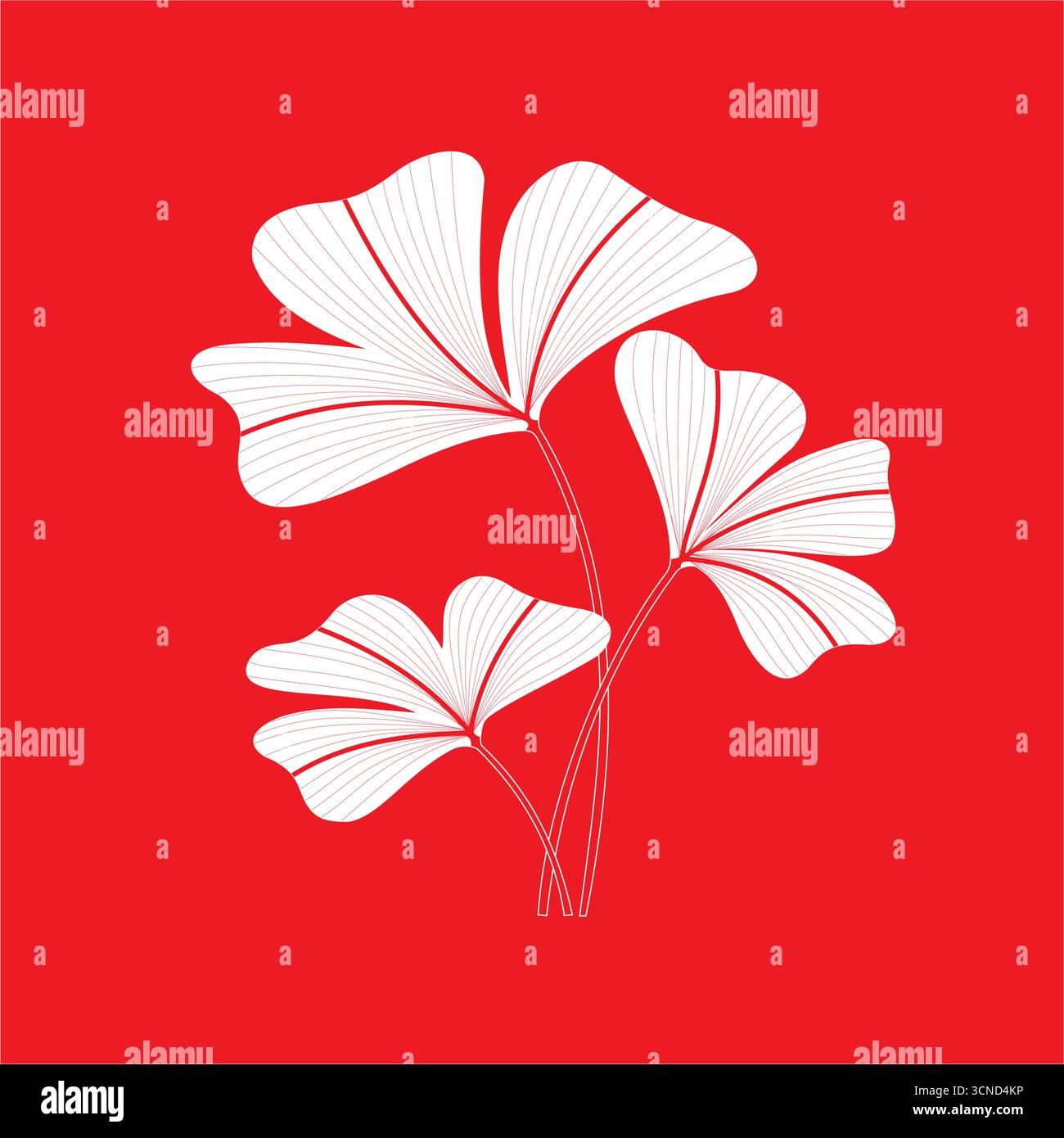 Vecteur de fleur blanche sur fond rouge Illustration de Vecteur