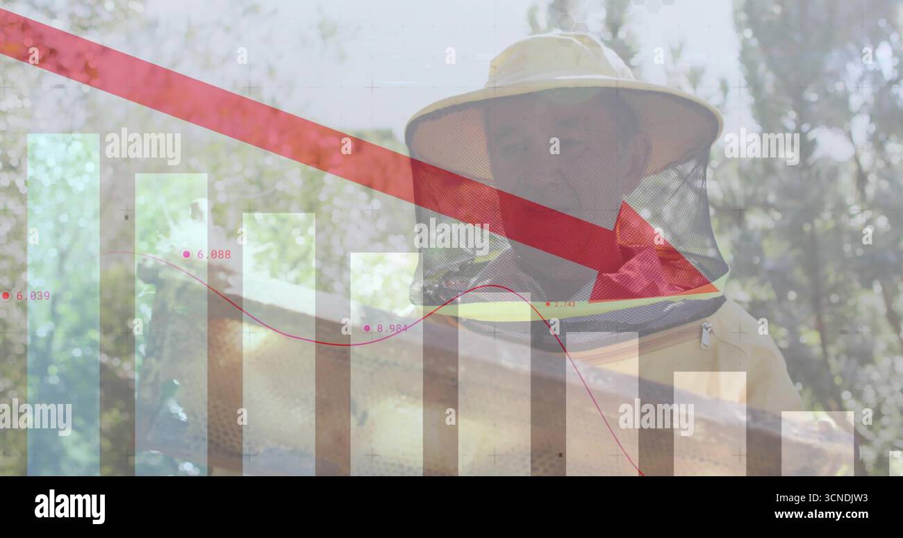 Inspectant le costume d'apiculteur examinant le cadre en nid d'abeille dans le rucher, avec graphique à barres, flèche rouge Banque D'Images