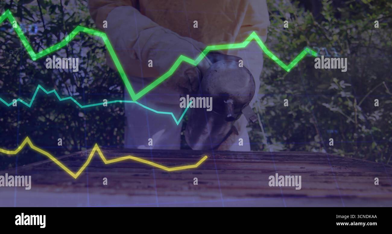 Apiculteur portant costume et gants debout dans le jardin, tenant le fumeur d'abeille avec des cartes numériques Banque D'Images