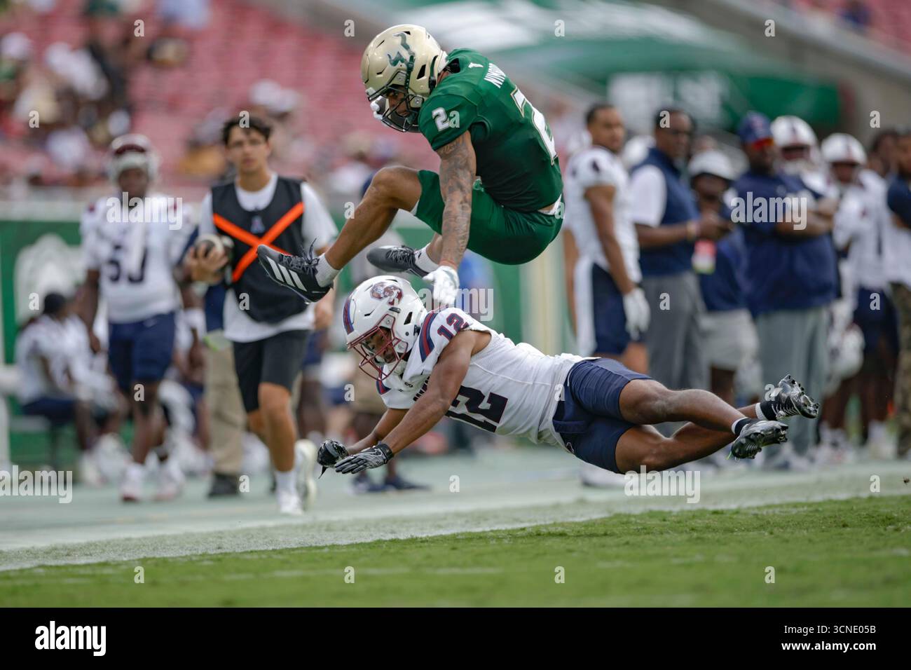 Tampa, États-Unis. 20 septembre 2025. Tampa, FL États-Unis : le receveur des South Florida Bulls Wide Chas Nimrod (2) saute sur l'arrière défensif des South Carolina State Bulldogs Jarod Washington (12) lors d'un match de football de la NCAA contre les South Carolina State Bulldogs le samedi 20 septembre 2025 au Raymond James Stadium. Les Bulls battent les Bulldogs 63-14. (Kim Hukari/image du sport) photo via le crédit : Newscom/Alamy Live News Banque D'Images