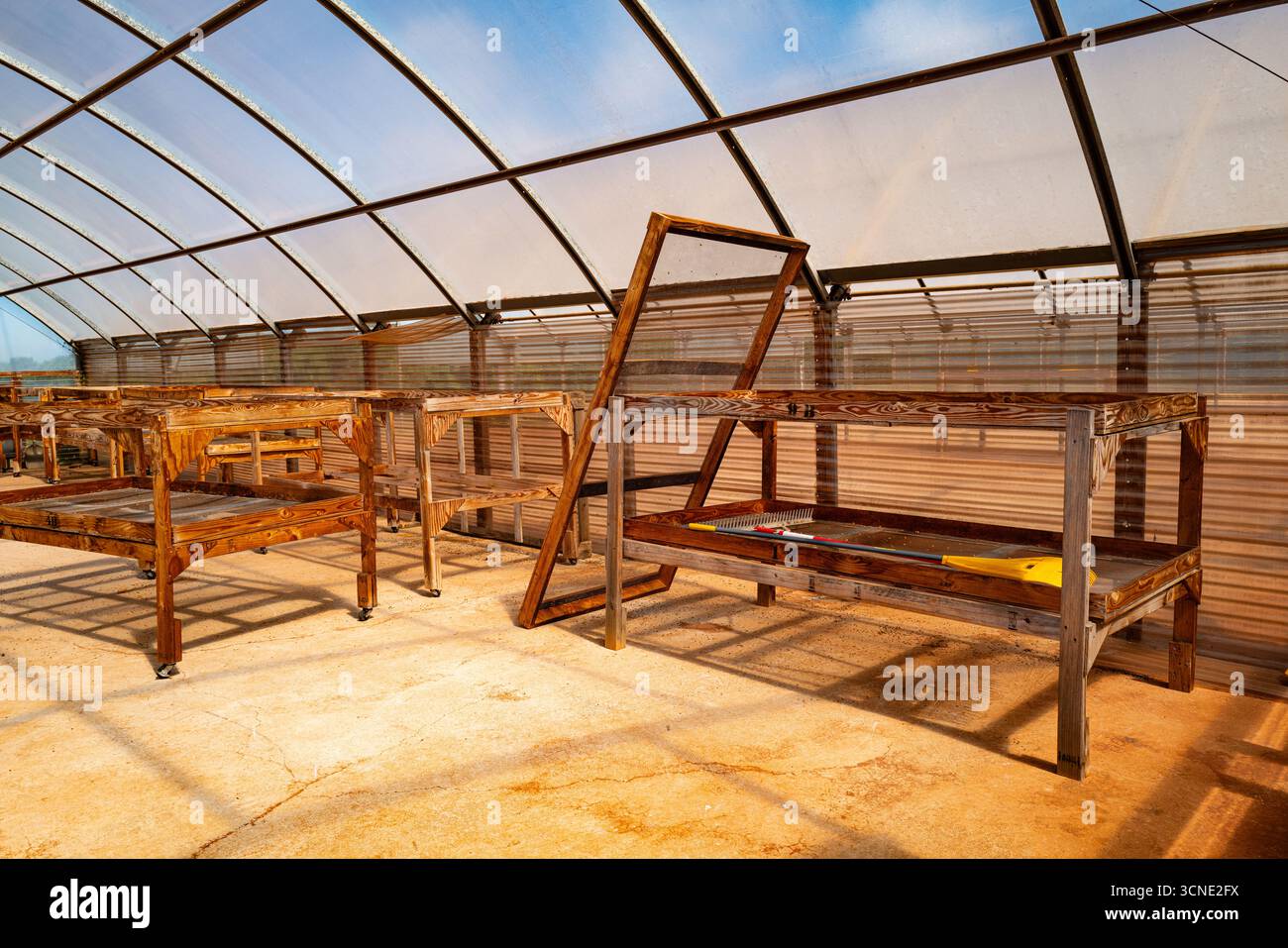 Les grilles de séchage inutilisées sont vides à Hawaï, un rappel des méthodes traditionnelles autrefois utilisées pour sécher au soleil les haricots récoltés. Banque D'Images