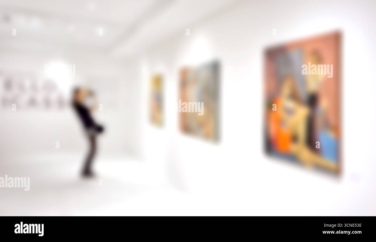 Motion blur, Un photographe photographie travaille dans une exposition dans une galerie, peinture abstraite colorée sur fond blanc Banque D'Images