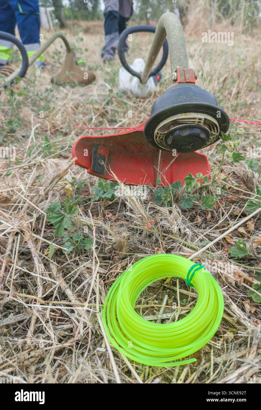 Torsadeur à fil à essence avec rouleau de fil à l'avant-plan. Mise au point sélective Banque D'Images