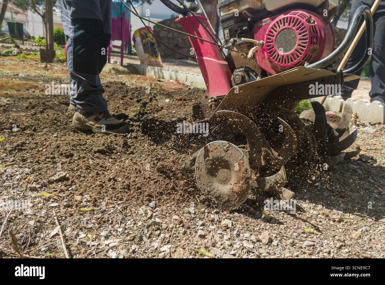 Timon à essence en action. Préparation dans la tâche au sol dans le jardinage Banque D'Images