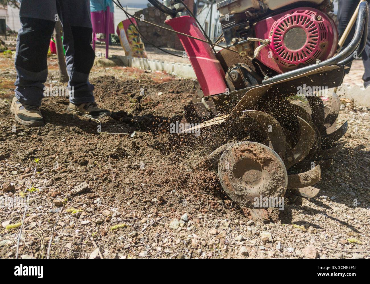 Timon à essence en action. Préparation dans la tâche au sol dans le jardinage Banque D'Images