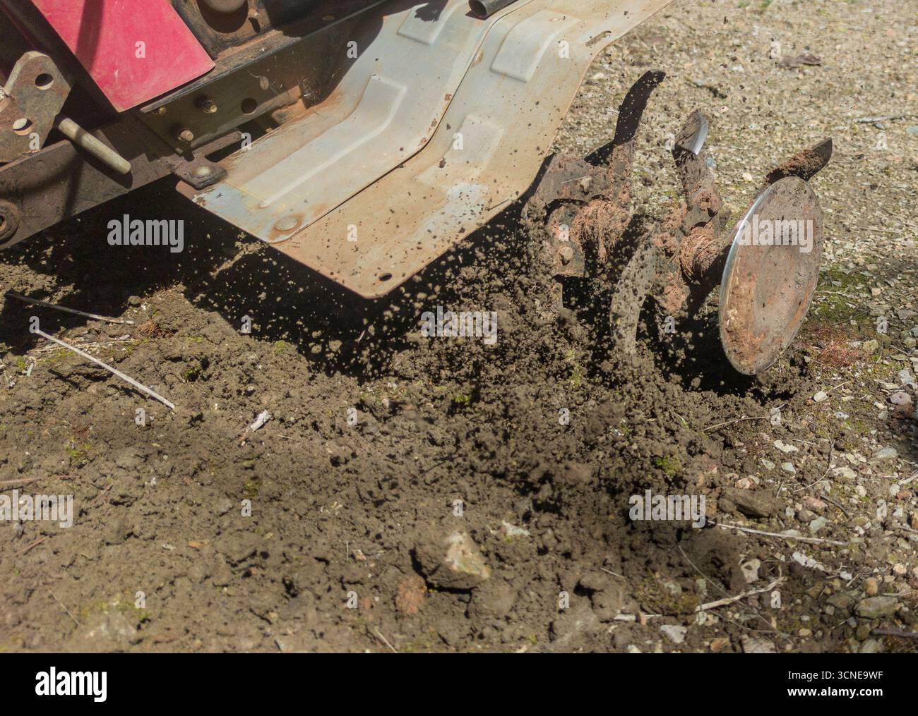 Timon à essence en action. Préparation dans la tâche au sol dans le jardinage Banque D'Images
