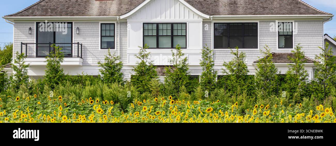 vue paysage de l'arrière d'une maison chère des hamptons avec un champ de tournesols et d'arbres Banque D'Images