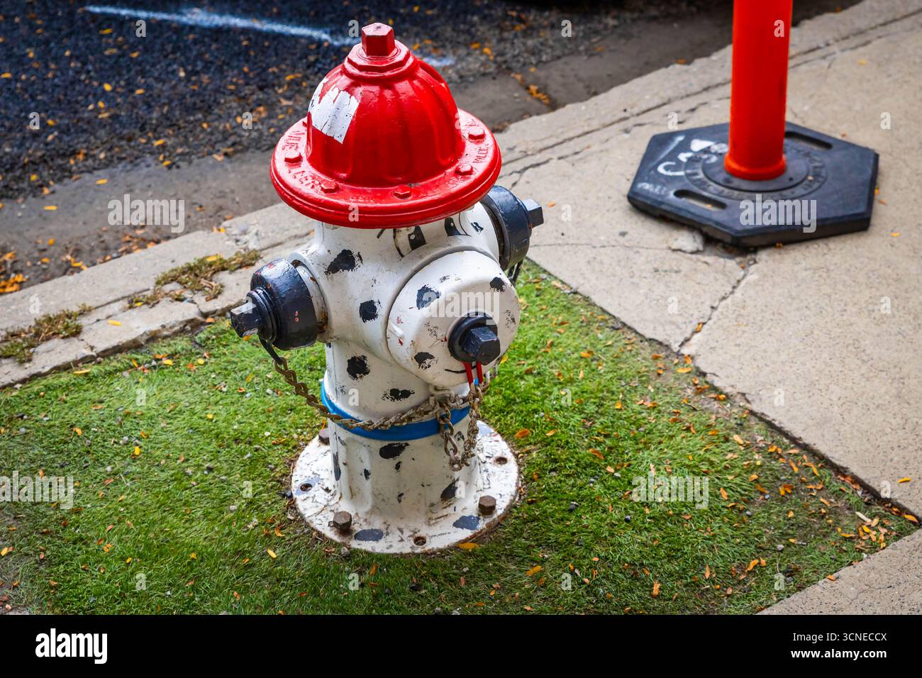 Billings, MT, États-Unis - 25 juillet 2025 : une bouche d'incendie fantaisiste et mignonne, peinte de manière créative pour ressembler à un chiot dalmate, se trouve dans une rue de la ville Banque D'Images