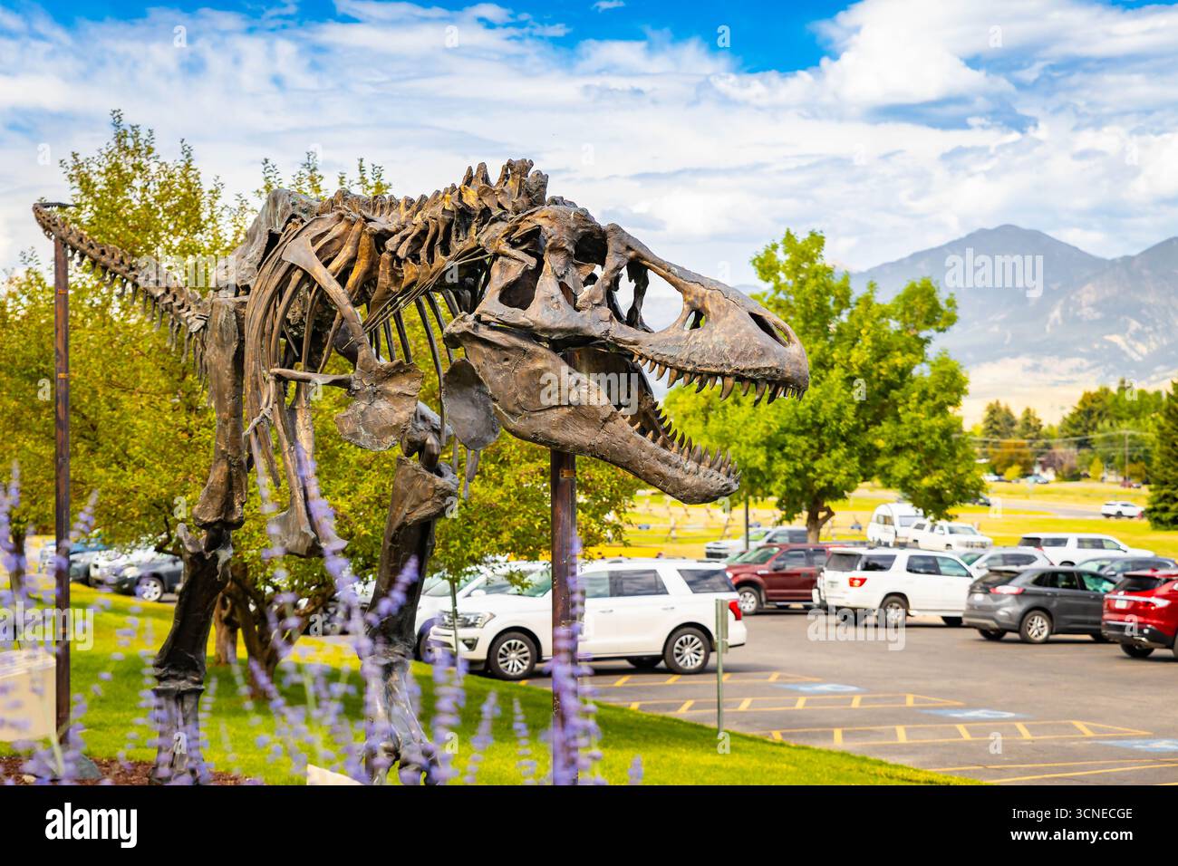 L'extérieur du Musée des Rocheuses à Bozeman, Montana, un point de repère pour la science et la culture Banque D'Images