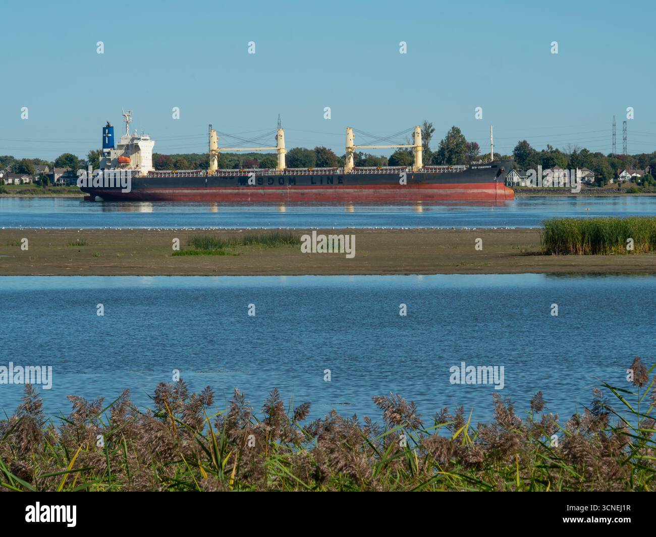 Un vraquier sec sur le fleuve Saint-Laurent à Tracy, Québec, Canada Banque D'Images