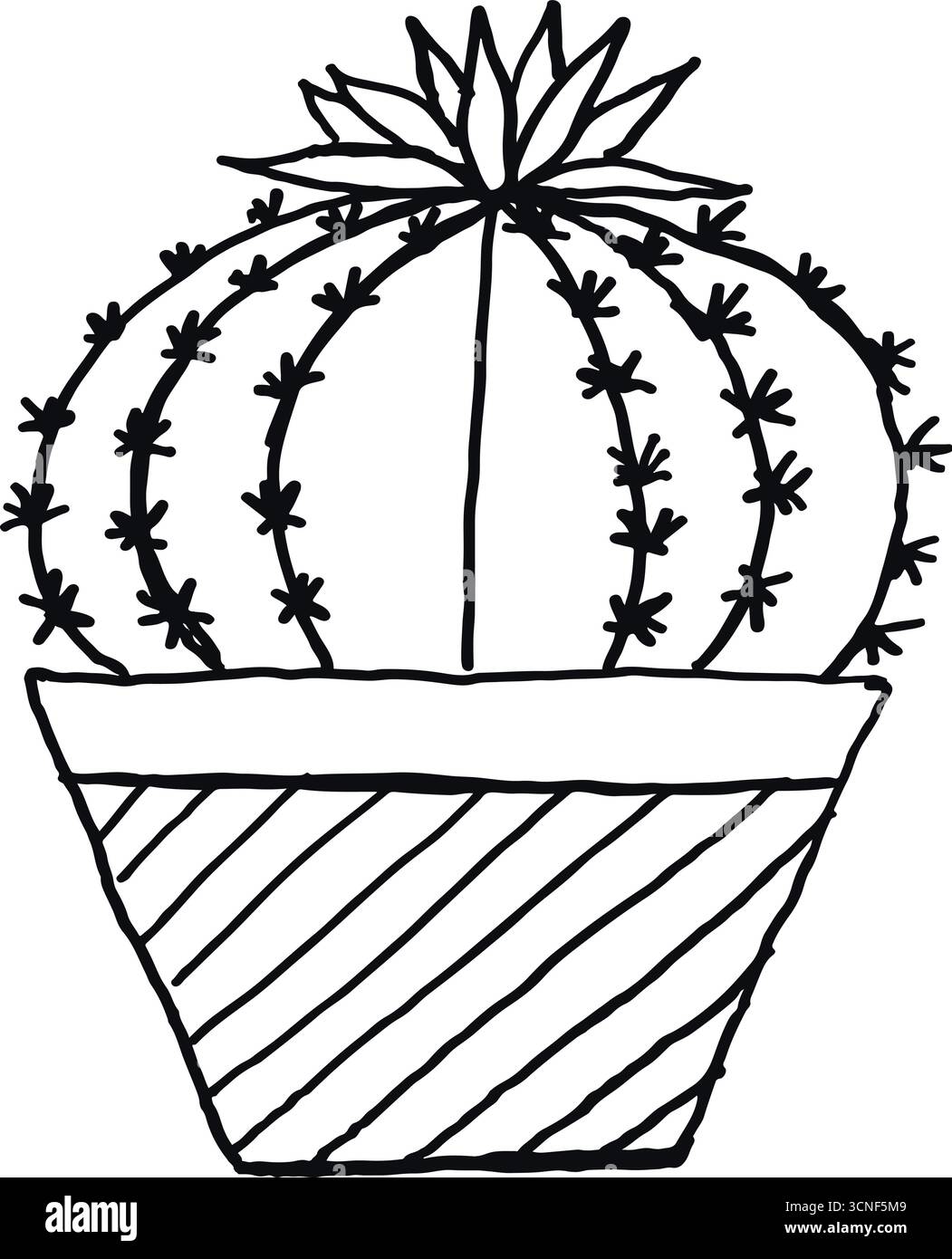 Illustration vectorielle de cactus sur un dessin de contour noir et blanc de pot Illustration de Vecteur