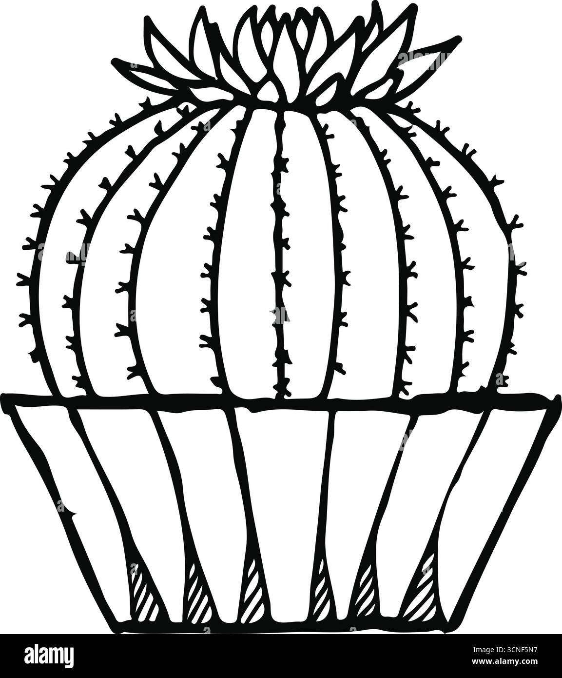 Illustration vectorielle de cactus sur un dessin de contour noir et blanc de pot Illustration de Vecteur