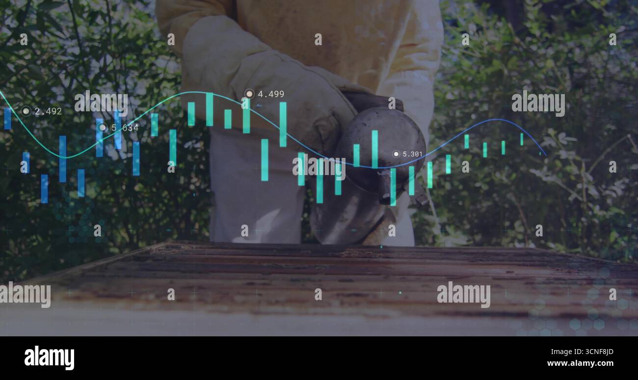 Apiculteur portant un costume jaune utilisant un fumeur d'abeille sur le cadre de ruche en bois dans le rucher, avec superposition de données Banque D'Images