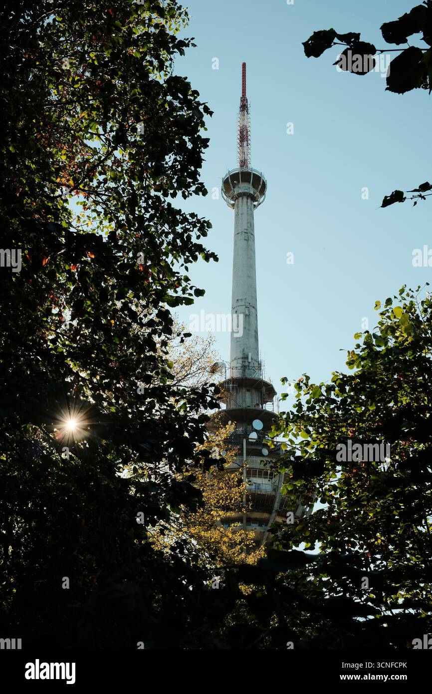 Tour de télévision Iriski Venac sur Fruska Gora vue à travers les arbres forestiers avec la lumière du soleil qui brille, symbole de l'histoire et des dommages de guerre en Serbie. Banque D'Images