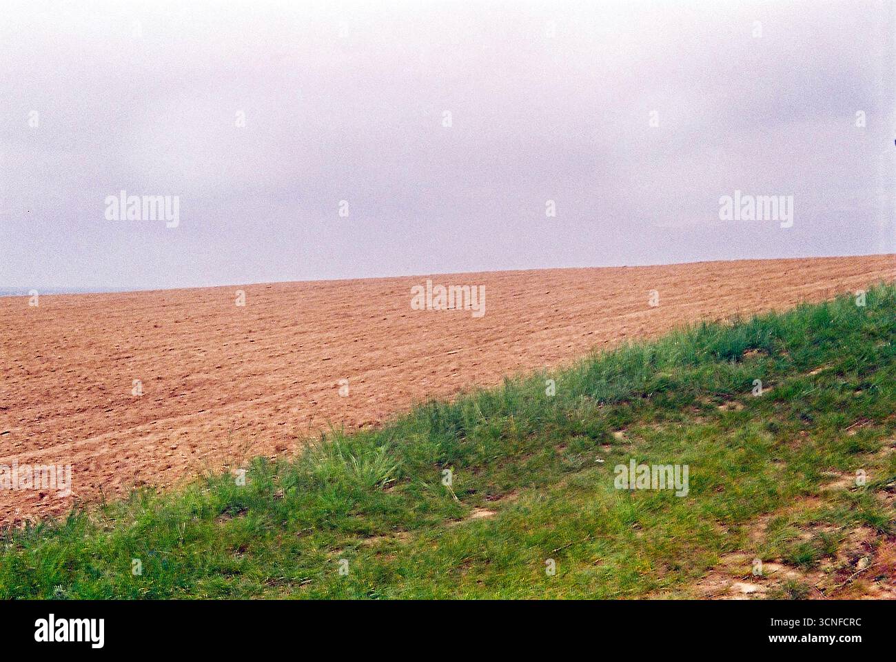 Photographie analogique minimaliste d'un champ labouré sous un ciel nuageux. Les textures silencieuses et la lumière douce évoquent l'immobilité et la simplicité naturelle. Banque D'Images