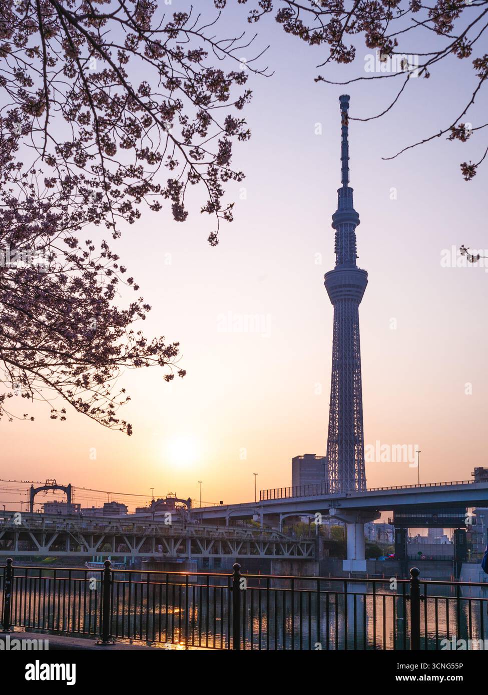 1er avril 2018 : Tokyo Skytree, une tour de radiodiffusion et d'observation à Sumida, Tokyo, japon. Il est devenu la plus haute structure du Japon en 2010, et maintenant Banque D'Images
