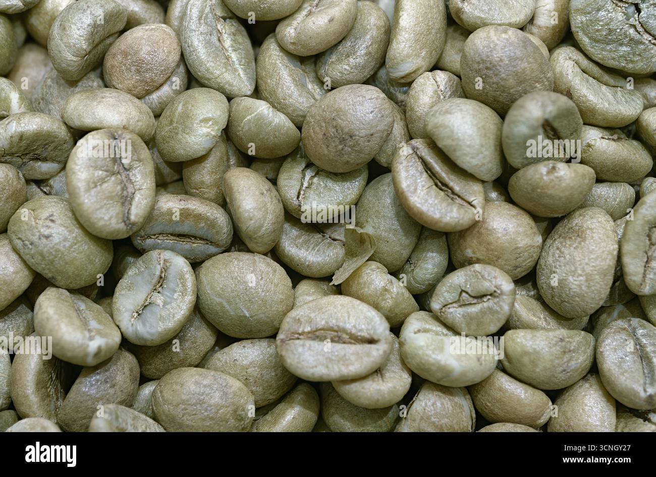 Grains de café non torréfiés, gros plan, fond de nourriture abstrait Banque D'Images