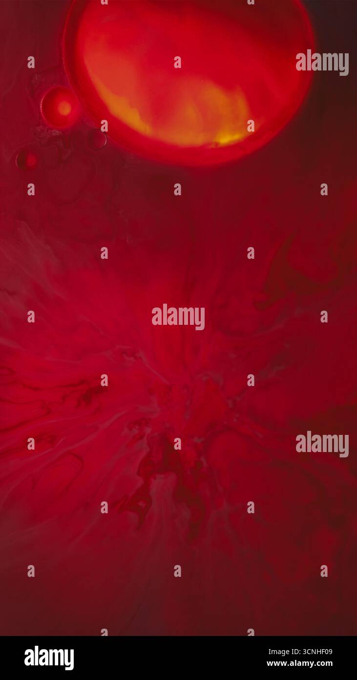 Peinture humide. Huile ronde. Défocalisé rouge rose jaune couleur eau liquide éclaboussure fluo fluide de mélange de flux de néon sur fond créatif d'art abstrait. Banque D'Images