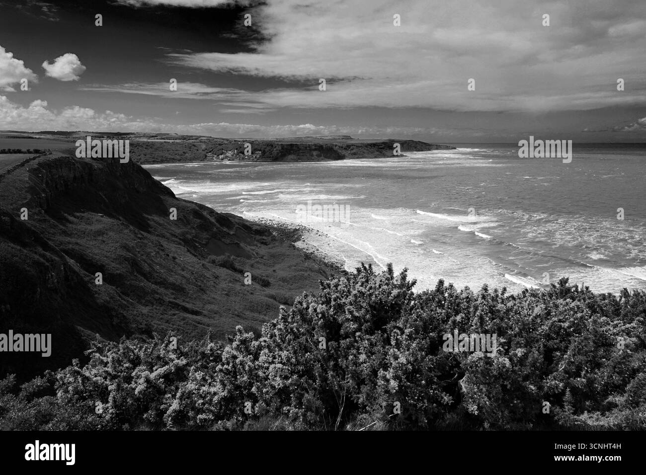 Vue sur la baie de Runswick, village de Runswick, côte du Yorkshire du Nord, Angleterre, Royaume-Uni Banque D'Images