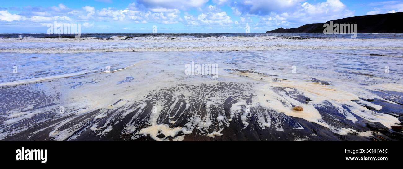 Vue sur la baie de Runswick, village de Runswick, côte du Yorkshire du Nord, Angleterre, Royaume-Uni Banque D'Images