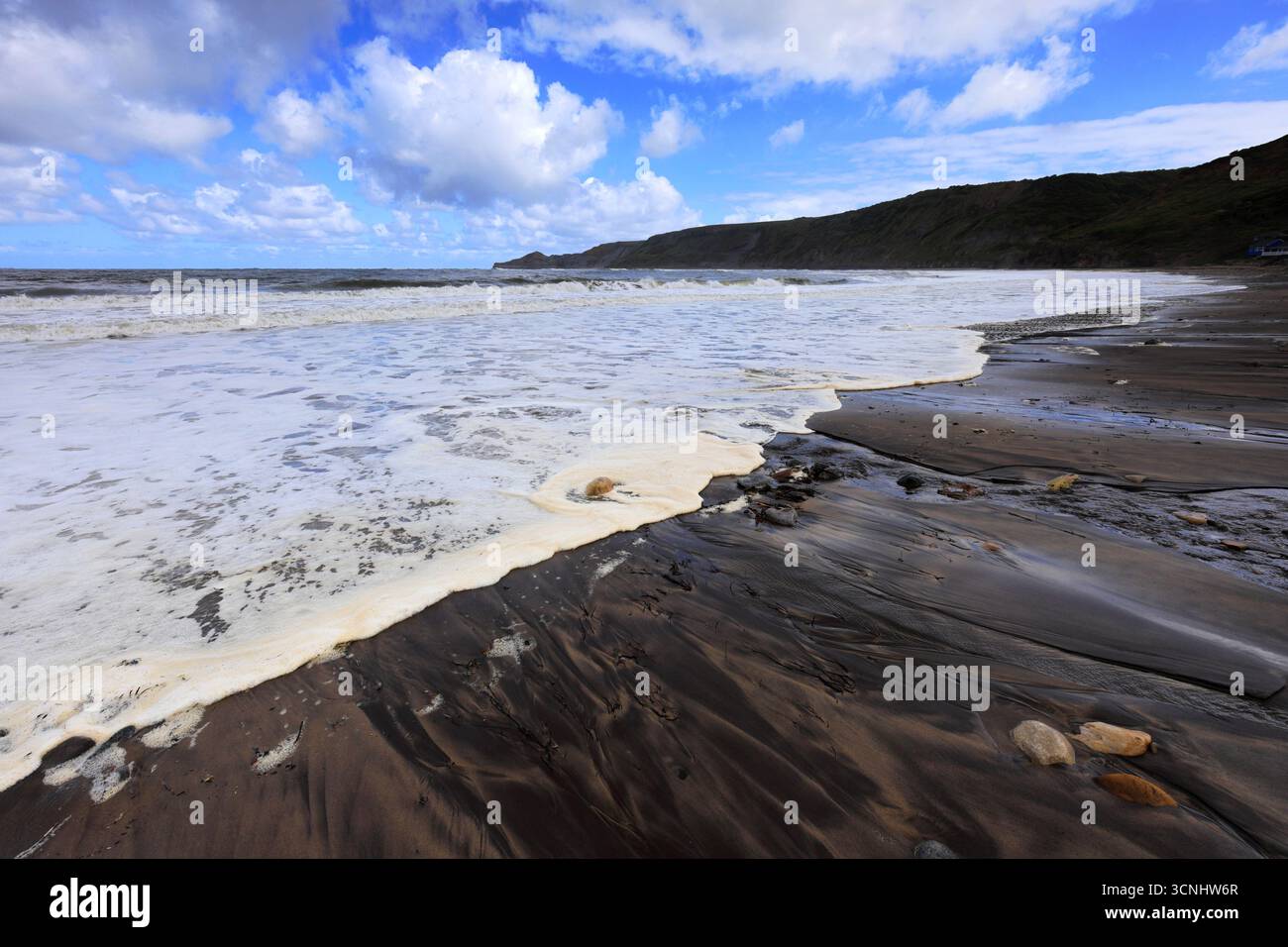 Vue sur la baie de Runswick, village de Runswick, côte du Yorkshire du Nord, Angleterre, Royaume-Uni Banque D'Images