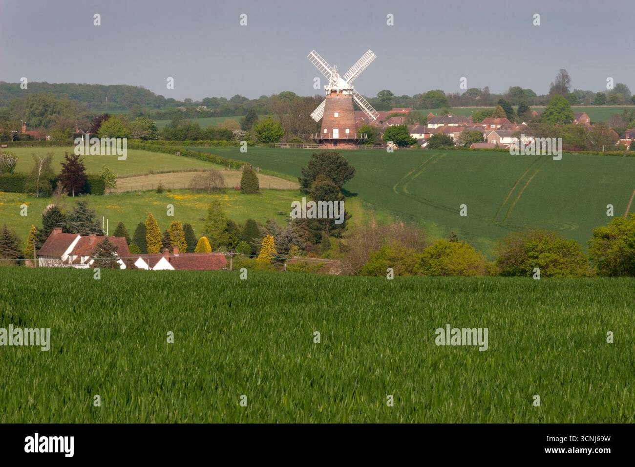 Un paysage rural de l'Essex regardant vers Thaxted et Lowe's Tower Moulin, Angleterre Banque D'Images