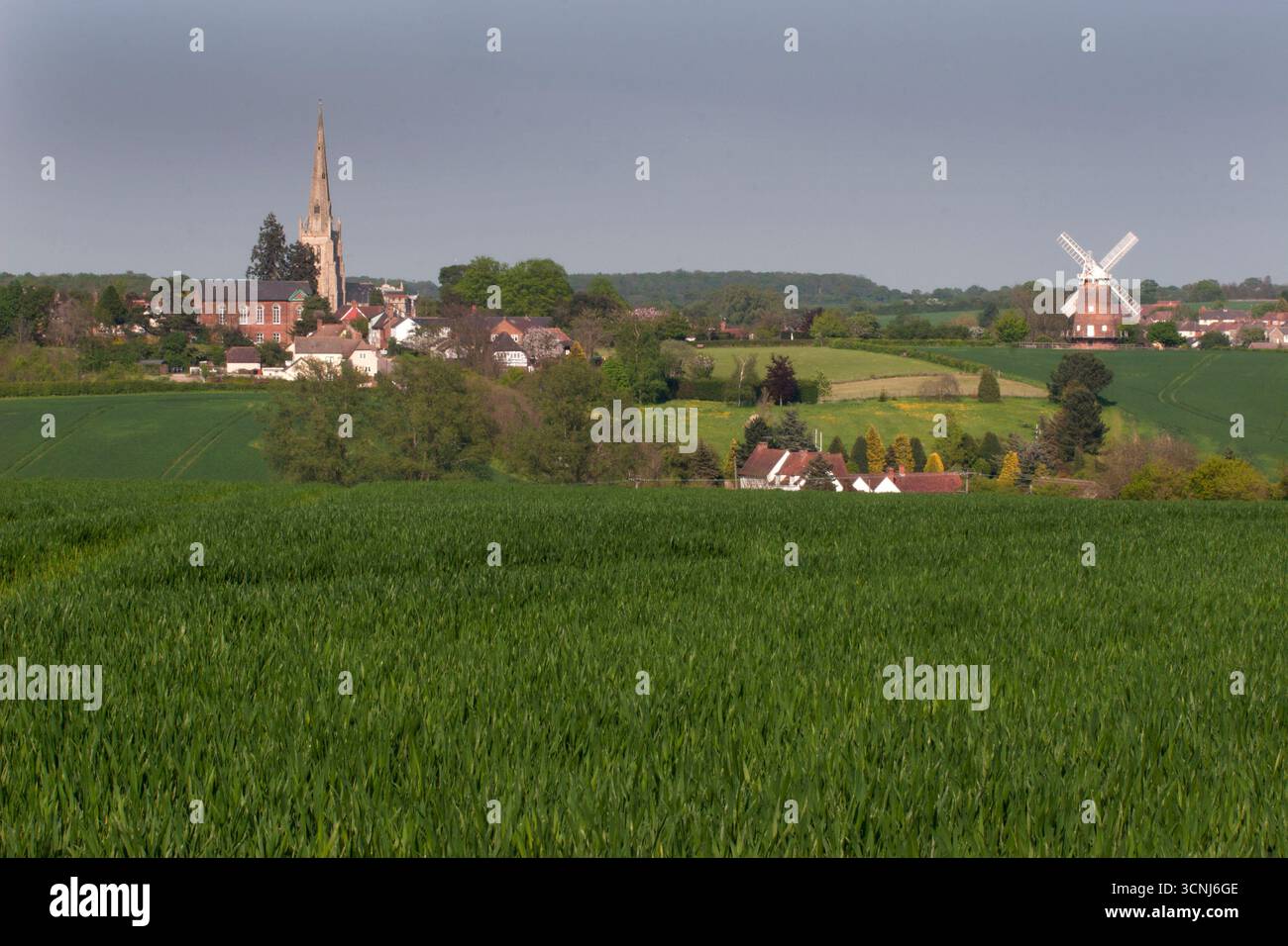 Un paysage rural de l'Essex regardant vers Thaxted avec son église paroissiale de membre John le Baptish et son emblématique moulin à tour Lowe, en Angleterre Banque D'Images