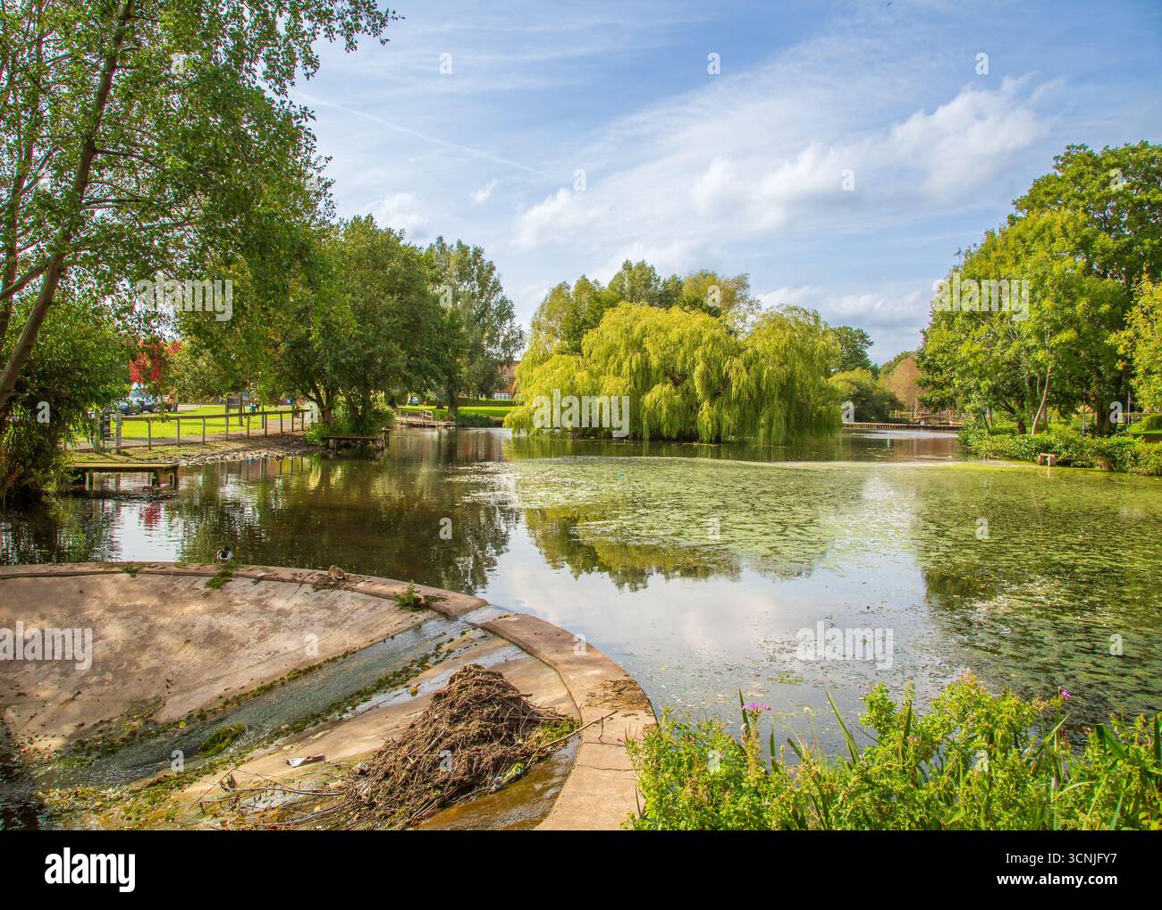 Zone boisée animée avec étang de pêche à Redditch, Royaume-Uni. Banque D'Images