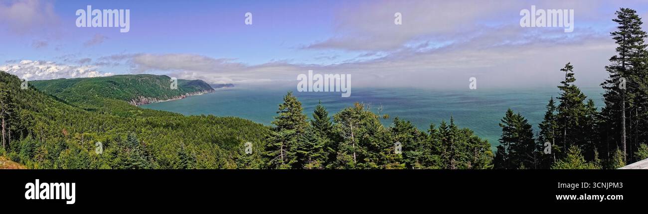 Vue panoramique sur un paysage côtier le long du sentier Fundy avec des forêts verdoyantes et l'océan sous un ciel dégagé Banque D'Images