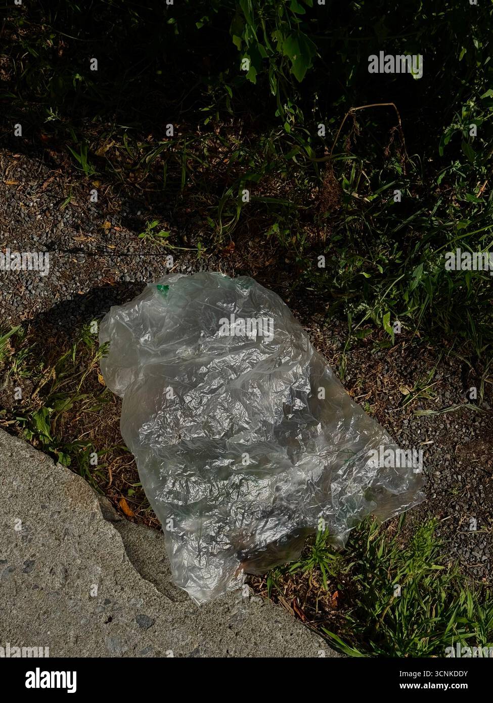 Sac en plastique sur la rue Banque D'Images